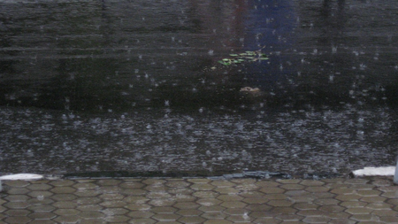 942f3c54-1783-4c96-9afd-c2796324486a.jpg