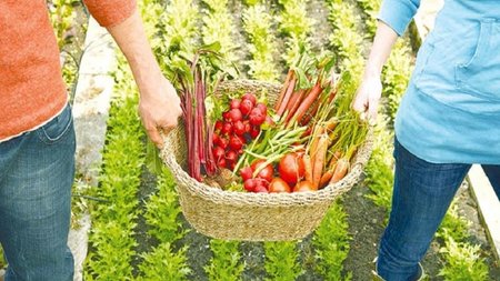 ΒΙΟΛΟΓΙΚΗ ΠΑΡΑΓΩΓΗ