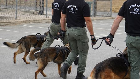 DOC.20240502.6612458.fylakes