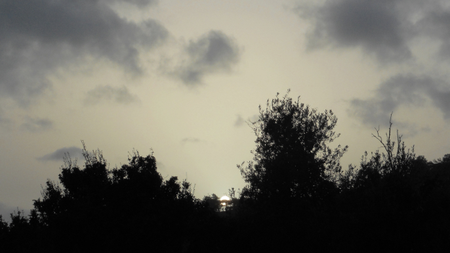 dd733cbe-f42f-4d6d-9614-b3671cfeb533.jpg