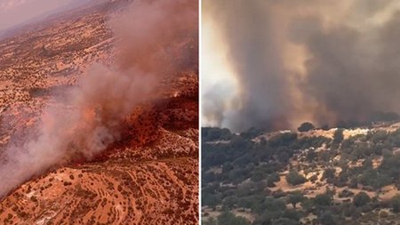 page.width-750_n4g6mKc