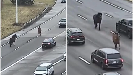 537dd3ac-1c64-42ef-bd8f-3ae4830e85a2