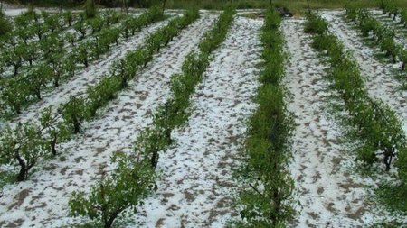 ΧΑΛΑΖΙ ΖΗΜΙΕΣ