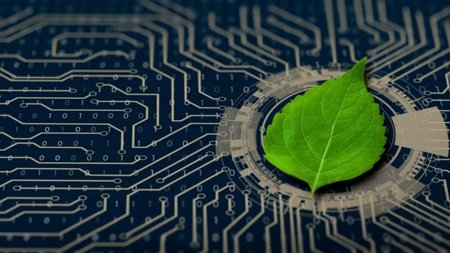 MixCollage-31-May-2024-01-41-PM-3133