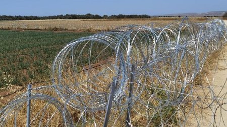 sirmatomplegma akaki