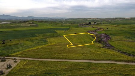 Collage Maker-15-Jun-2023-02-34-PM-9355