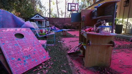 los-angeles-pyrkagies-roz-skoni-mak1