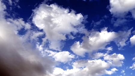 f85d6949-556e-445c-8aaf-9f2a8f46d9c0.jpg