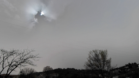 1409d0e1-e11d-47b5-a9a5-359513046aad.jpg