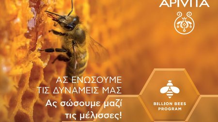 440825026_915423570340196_7937375946924088716_n