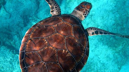 429946130_10220474452006017_3512658414255477496_n