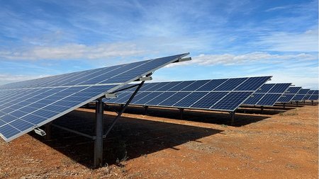 Bioland photovoltaics