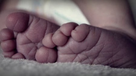 86b70ea618b7c374d4a9e96b613730fe_XL