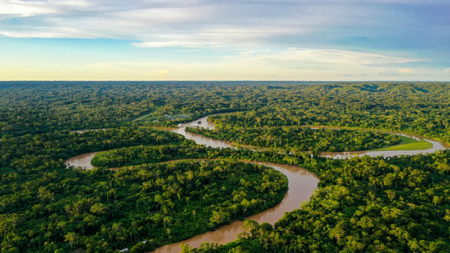 amazon-forest-2-1536x1024