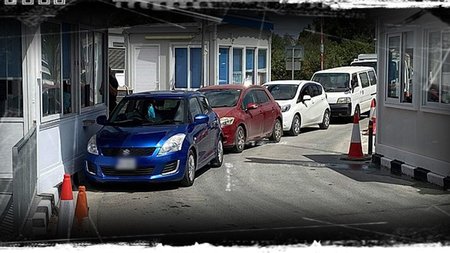 odofragma-agioy-dometioy_19_415123_type13265