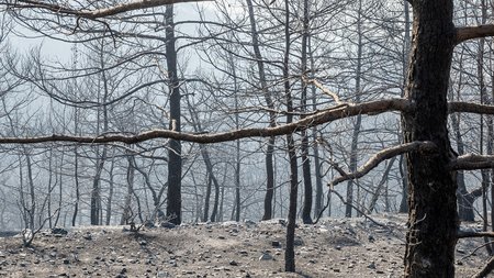 DOC.20250724.8797065.kamenigilemesos2