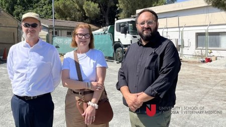 MixCollage-02-Aug-2024-10-12-AM-465