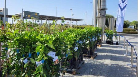 MixCollage-11-Oct-2024-09-40-AM-578