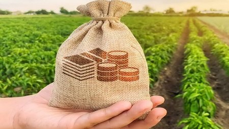 ΓΕΩΡΓΙΚΟΣ ΤΟΜΕΑΣ