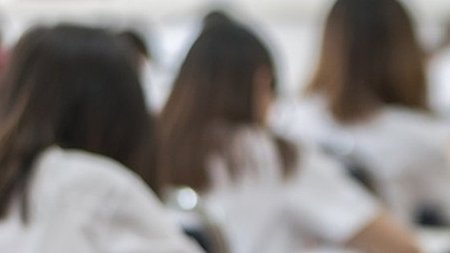 cats_amdjJVO.width-750.width-750