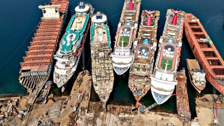 Collage Maker-15-Jun-2023-02-05-PM-8410