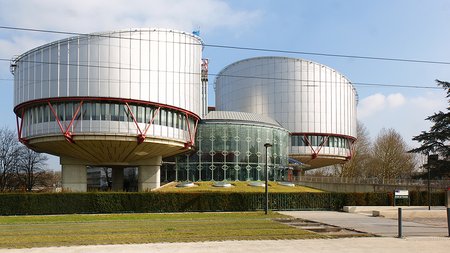 European Court of Human Rights