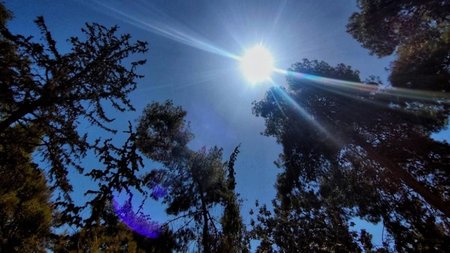 875_8ab30f67-129f-490a-82f1-9a43e5a867e4