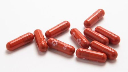 c8728d96-e10c-412f-bbee-0d7cf7e414ff.jpg