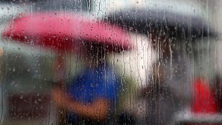 b_bbvroxes.width-750