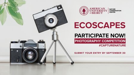 MixCollage-17-Sep-2024-08-46-AM-1191