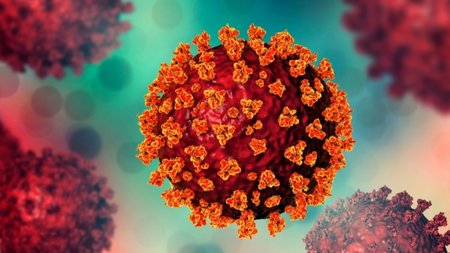 MixCollage-14-Dec-2023-03-02-PM-6437