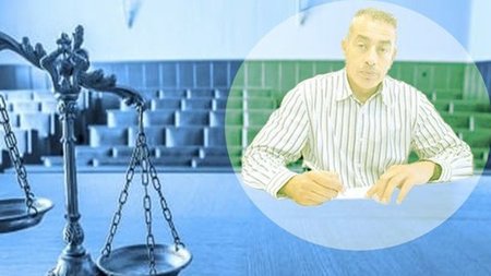 cats_c8rv8kW.width-750