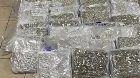 nnnnarkotikkka_252863_383043_type13262